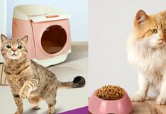 Gatos: accesorios indispensables para cuidarlo y engreírlo