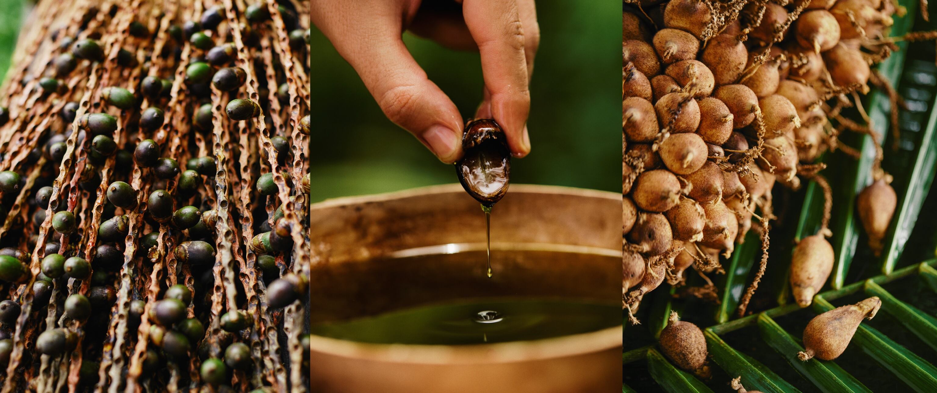 Ayuda a la aceleración del crecimiento capilar, brindando un cabello más fuerte y resistente, mayor densidad y grosor del cabello desde la raíz.