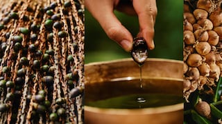 Patauá: Los beneficios del fruto amazónico para el cuidado del cabello
