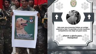 “Fuiste un amigo valeroso y leal”: La historia de ‘Marquitos’, el perro asesinado junto a siete policías en el Vraem