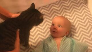 YouTube: La divertida reacción de un bebé al conocer a su gato