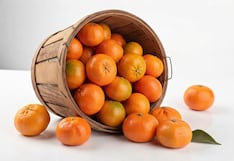 ¿Cómo las condiciones climáticas están afectando la apariencia de las mandarinas?