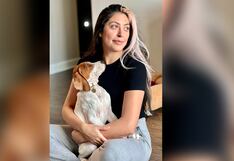 Pagó un sencillo para que maten a su perro y al verlo hoy curado pide que se lo devuelvan