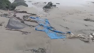 Ventanilla: hallan nuevas manchas de petróleo en playa Los Delfines