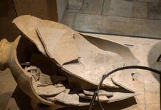 Niño mirón destruye pieza arqueológica en museo y su papá miente para encubrirlo