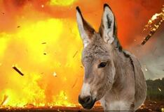 Colombia: “Burro bomba” deja un muerto y dos heridos