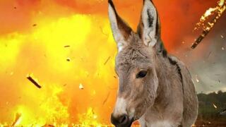 Colombia: “Burro bomba” deja un muerto y dos heridos