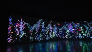 Conoce la exposición “Color. El conocimiento de lo invisible”