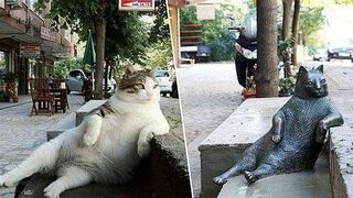 Turcos lloran por el robo de la escultura de un famoso gato callejero 