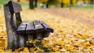 ¿Cómo afecta el otoño a las emociones?