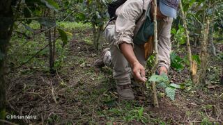 Biocrédito, herramienta financiera ‘verde’ colocará S/ 13.6 millones en la Amazonía este 2024