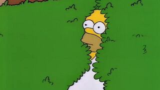Homero Simpson utiliza un meme suyo en el más reciente capítulo de “Los Simpson”