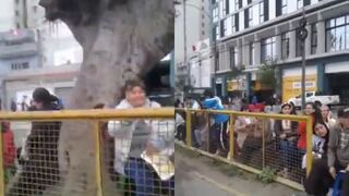 Gran Parada Militar: Público aplaude desde las tribunas improvisadas instaladas con sillas y otros bancos (VIDEO)