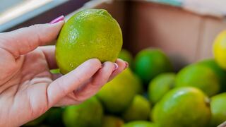 Agricultores advierten que precio del limón seguirá al alza