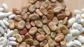 Comer para vivir: El valor nutricional de las habas