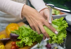 Cinco buenas prácticas para fortalecer la seguridad alimentaria en tu cocina