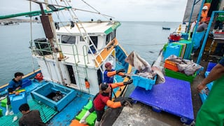 El Niño 2026 obliga al Perú a reforzar la protección de la biodiversidad marina, la pesca y el turismo