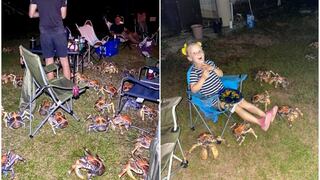 Una parrillada familiar es ‘invadida’ por más de 50 cangrejos carnívoros
