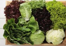 La columna de Pérez Albela: Verduras de hoja verde para una vida más larga