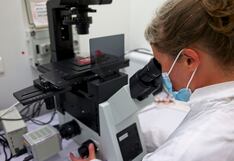 Científicos bamba en universidades peruanas: docentes hacen hasta 73 publicaciones en dos años