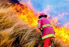 Efectos de los incendios forestales en la salud