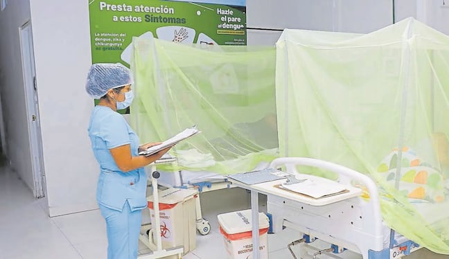Aumenta cifra de muertos por dengue