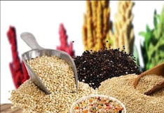 Comer para vivir: Descubre los alimentos nativos del Perú