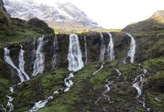 Día de la Biodiversidad: Iniciativa peruana destaca en la restauración ecológica andina