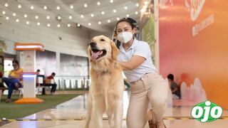 Grupo Patio convierte sus centros comerciales en espacios ‘pet friendly’