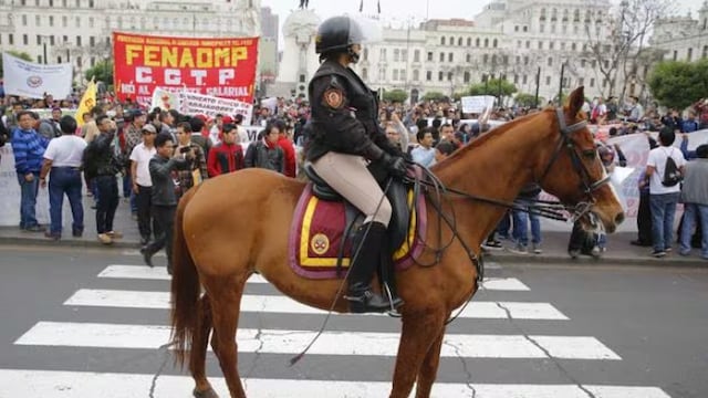 Uso de caballos para el control de multitudes quedaría prohibido con proyecto de ley