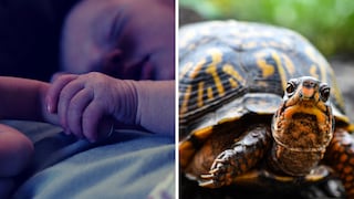 Bebé muere tras ingerir sangre de tortuga que le dieron para ‘evitar’ contraer el coronavirus