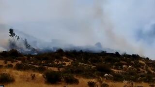 Huaral: incendio forestal deja dos muertos y varios heridos en Piscocoto | FOTOS