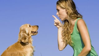Conversar con tu mascota ayuda a desarrollar tu inteligencia