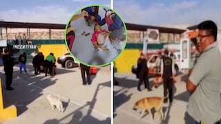 Hombre patea mochila, explota y queda sin piernas en Arequipa | VIDEO