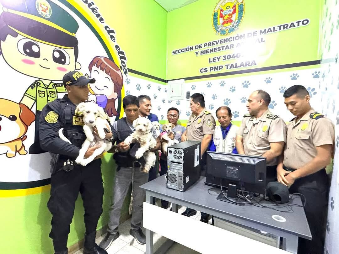 Abren oficinas contra el maltrato animal.