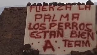 Misterioso “A-Team” se atribuye el rescate de los perros amenazados por el volcán de La Palma