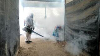Minsa: El  2022 fue un año epidémico por dengue
