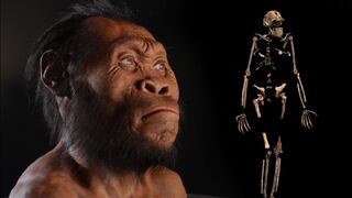 El Homo Naledi podía trepar a los árboles y manejar herramientas 