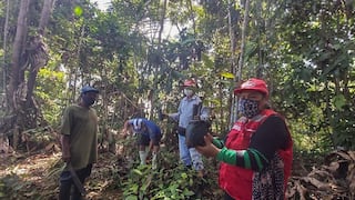 Capacitan a pueblos indígenas para reforestar árboles en la frontera con Colombia en Loreto