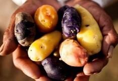 Comer para vivir: “Día Nacional de la Papa”