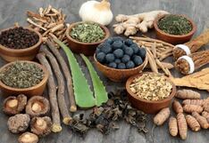 Comer para vivir: ¿Qué son los adaptógenos?