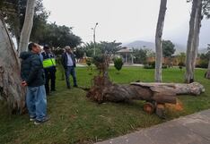 Fuertes vientos seguirán hasta el 3 de agosto: “Se ha volado varios techos”