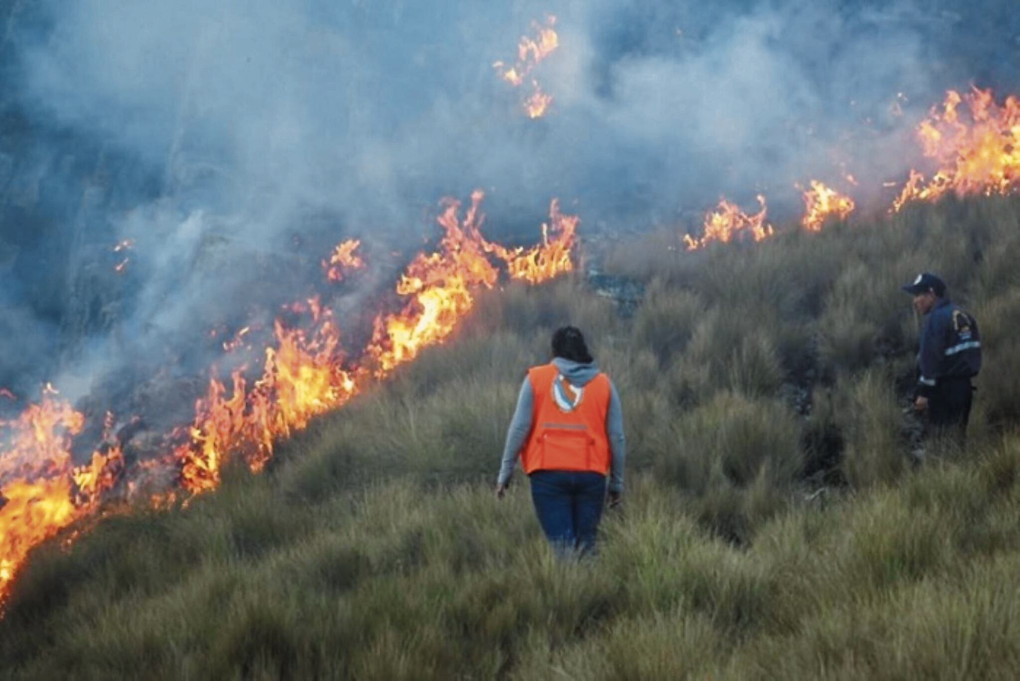 Incendios forestales en Perú