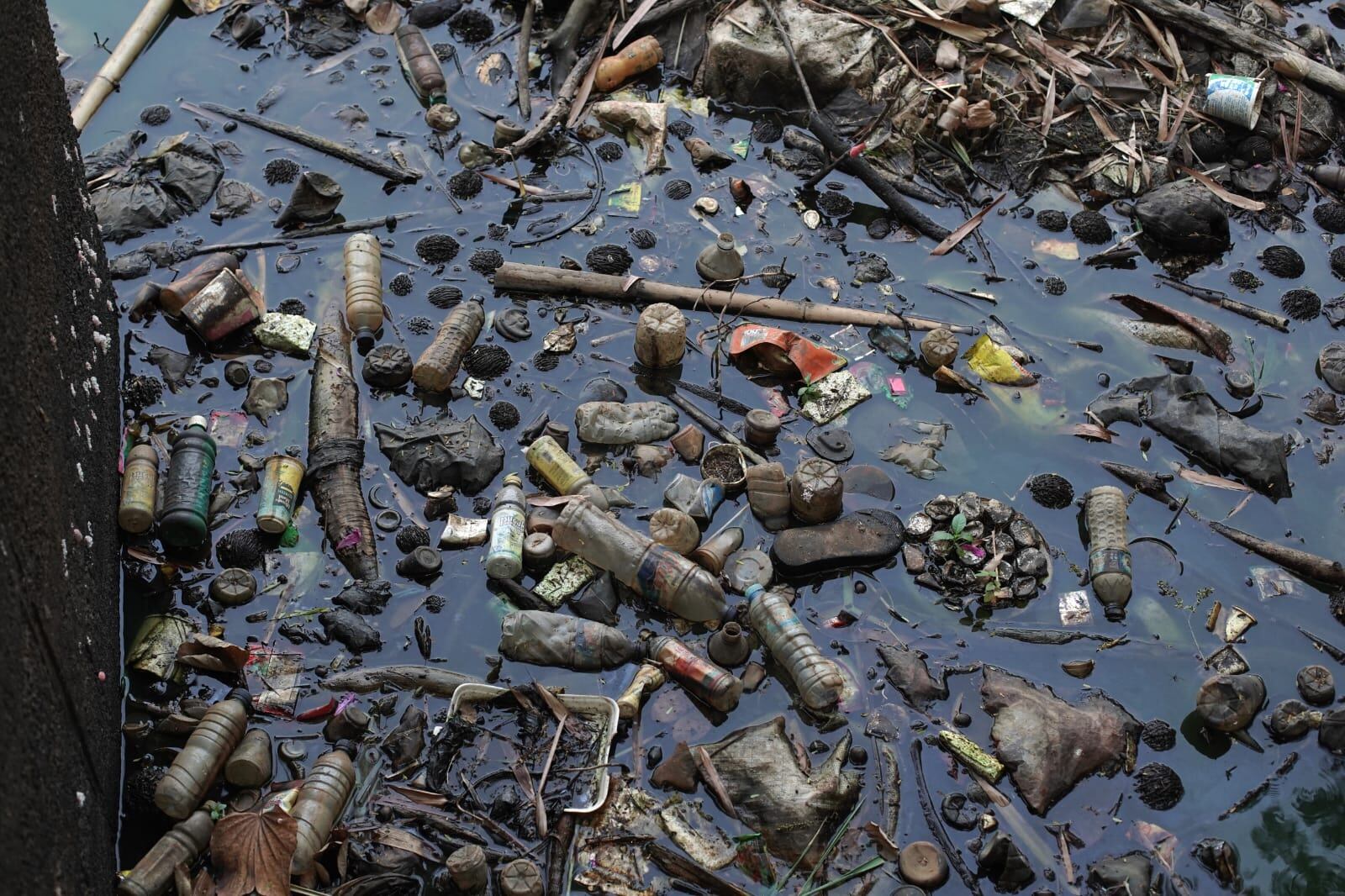 Plásticos de un solo uso