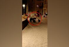 Asesina a mamá osa, deja huérfanos a dos ositos, y Policía protege al criminal | VIDEO