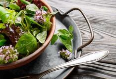 Comer para vivir: La lechuga y sus formas de consumo