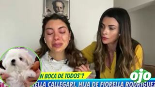 Hija de Fiorella Rodríguez llora desconsoladamente por su mascota perdida: “se me parte el corazón”