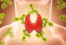 Comer para vivir: ¿En qué se diferencian el hipotiroidismo y Hashimoto?