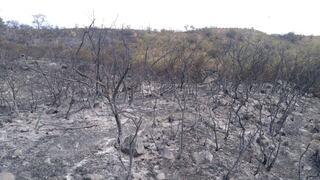 Áncash: Incendio en Yungay duró dos días y arrasó con más de 40 hectáreas