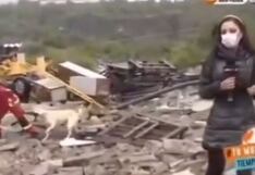 Bombero y perro protagonizan divertida pelea por un trapo cuando reportera estaba en plena transmisión en vivo